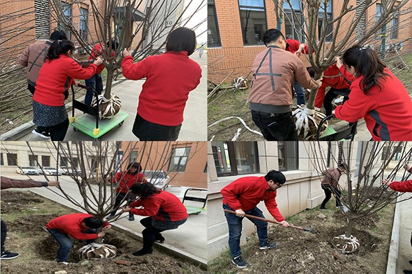 1615620512144542.jpg 3.jpg