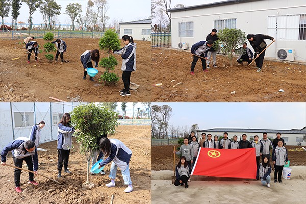 1615620522890034.jpg 4.jpg