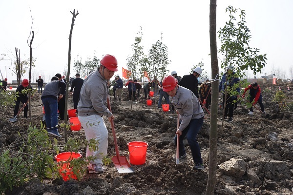 1647478372197993.jpg 1647478372197993.jpg